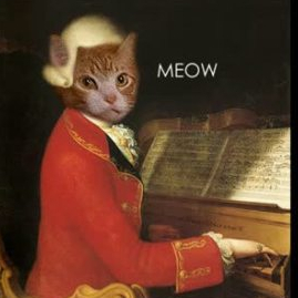 classical cat TO USE
